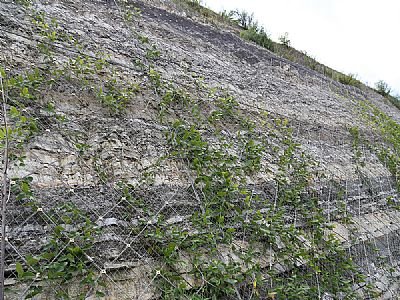 主動(dòng)防護(hù)網(wǎng)